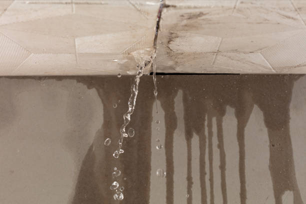 Professional Structural Drying technician working in East Marion, NY
